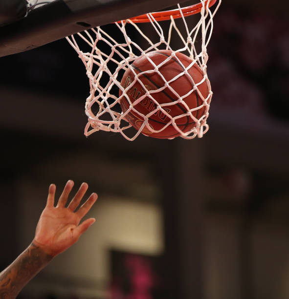 的篮球成就 的篮球成就